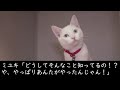 【修羅場な話】パソコンから動画が出て来ました・・・間男「2年も付き合ってるって知ったら、卒倒するだろうなｗ」→キレた俺はこの動画をサイトに上げました…【朗読】