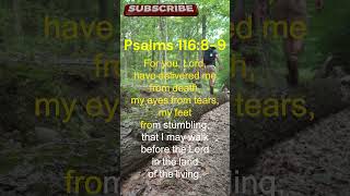 Psalms 116-8-9 The SECRET to Unshakeable Hope #psalms #bible #faith