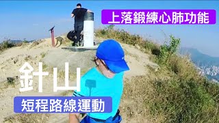 香港行山：2020 12 03 上針山來回折返午間短程運動Needle Hill short distance hiking