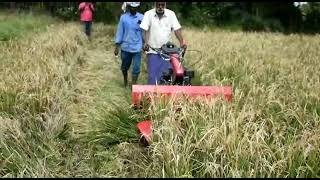 MAIJO Weima Back Rotary Power Weeder Demo(1)