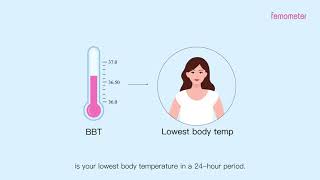 4. What is BBT and why does it matter?