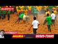 கூடமலை ஜல்லிக்கட்டில் வீரர்களால் அடக்கமுடியாத கன்று gudamalai jallikattu 2018