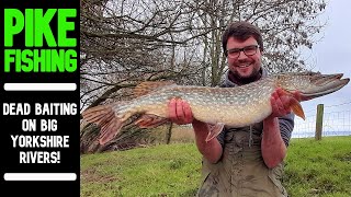 PIKE FISHING| 2 rivers and some BIG FISH landed!