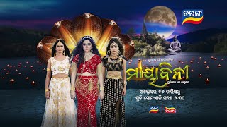 Mayabini ମାୟାବିନୀ | New Megaserial | 17th Oct 2022 | Tarang TV | Tarang Plus