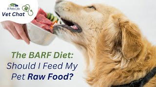 Should I Feed My Pet Raw Food? (The BARF Diet Explained)