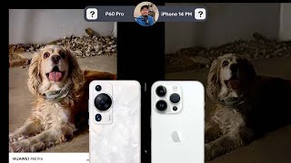 Huawei P60 Pro vs iPhone 14 Pro Max | Comparativa de Cámaras
