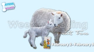 🐑LIVE: Light Language Activation + Weekly Reading