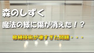 【森のしずく30年保証】フローリングの傷が消えた！？【実力凄すぎた】