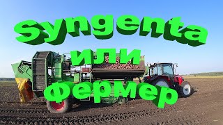 Уборка картофеля. Syngenta или Фермер, кто кого?