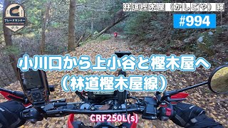 第994話　小川口から上小谷と樫木屋へ【CRF250Ls】