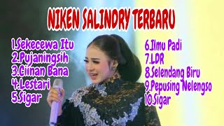 NIKEN SALINDRY FULL ALBUM TERBARU 2024 VIRAL II SEKECEWA ITU-CIINAN BANA-PUJANINGSIH