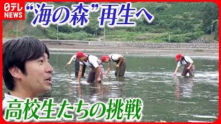 【「海の森」復活へ】30倍に育った“海の森”が急減  再生をあきらめない高校生たちの挑戦 『ベタバリ』