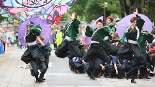 光が丘よさこい20190714 69 A　東京農業大学YOSAKOIソーラン同好会”百笑”