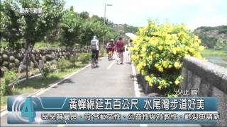 1040611觀天下新聞HD08 汐止區黃蟬綿延五百公尺 水尾灣步道好美