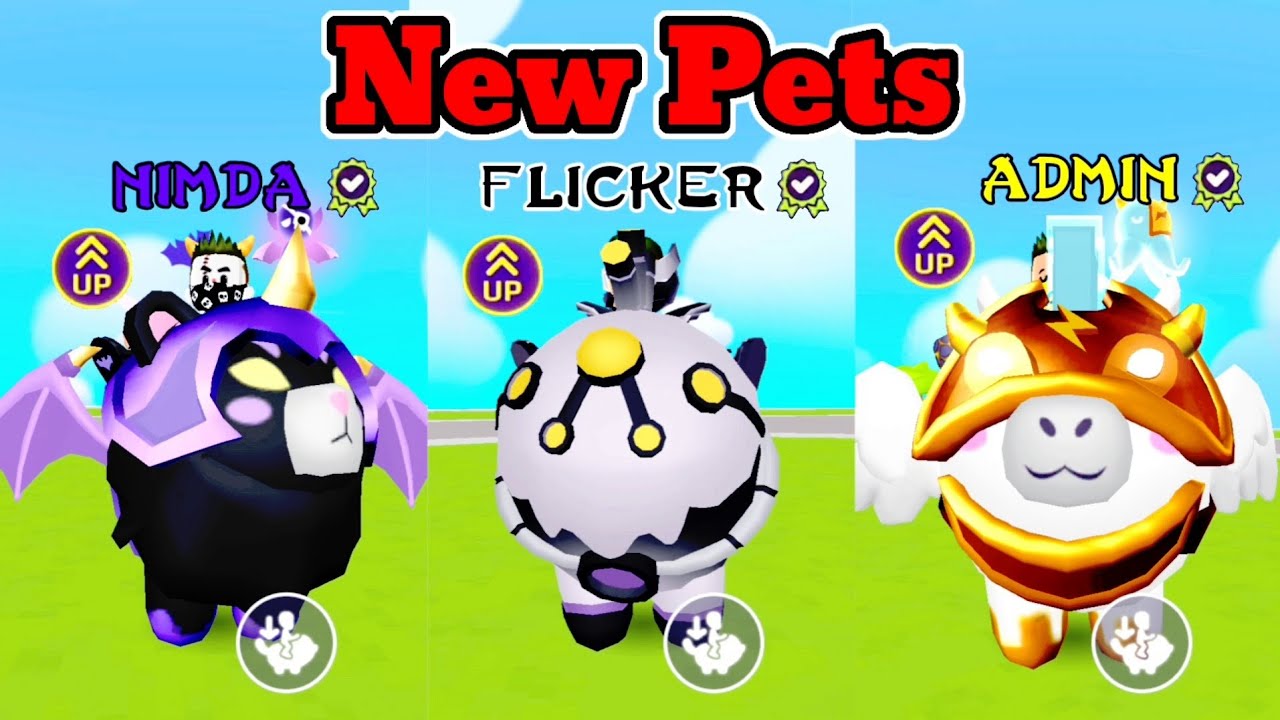Pk Xd Admin Nimda Flicker Warrior Pets All Are Ridables Youtube