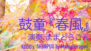 「春風」鼓童提供楽曲　(篠笛) 演奏:ままどらごん「Shunpuu」by KODO (Shinobue=BambooFlute) Performed by MamaDoragon