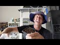 how to propagate by cuttings coleus