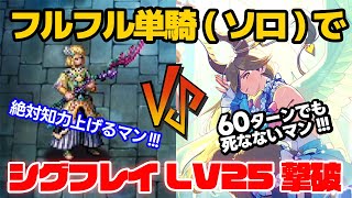 【ロマサガRS】フルフル単騎（ソロ）で幻闘場シグフレイ シミュレートレベル25斧を60ターンで撃破【ロマンシング サガ リユニバース】