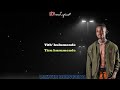 iHulumende ft Vana vevhu (Lyrics)