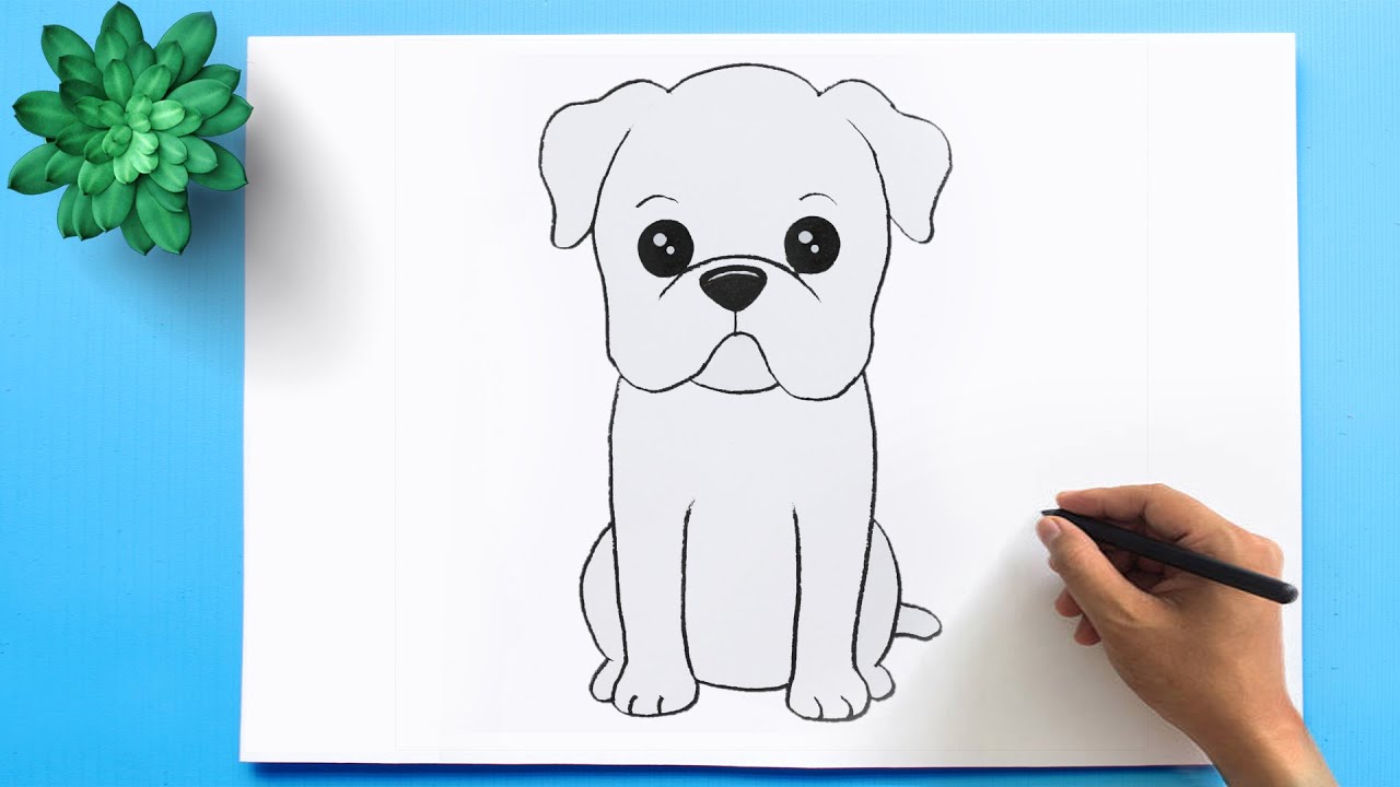 Bulldog Drawing Easy How To Draw An American Bulldog Puppy Youtube