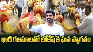 భారీ గజమాలతో లోకేష్ కి ఘన స్వాగతం. | Nara Lokesh Yuvagalam Padayatra | TDP | Tv5 News