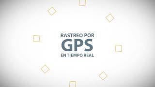 Rastreo y Monitoreo GPS para flotas | Tecnología SinergyGroup