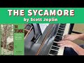 JOPLIN: The Sycamore (A Concert Rag) | Cory Hall, pianist