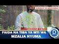 FAIDA NA TIBA YA MTI WA MZALIA NYUMA| KIBOKO YA MARADHI SUGU |SHEIKH YUSSUF BIN ALLY