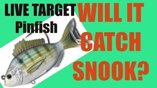 Will This Pinfish Lure Catch Snook? SHOCKING RESULTS! LIVETARGET  Review