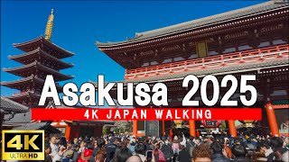 2025 New Year’s Stroll in Asakusa  4K