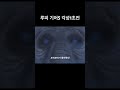 원피스 해방의드럼소리 조이보이가 돌아왔다 기어5 ワンピース