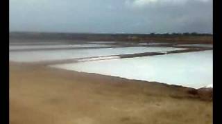 Agaram (tuticorin salt agriculture)....this is how salt is produced