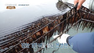 [교양] 신대동여지도 331회_200209_장수군에서 장수를 꿈꾸는 사나이 외