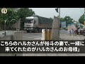 【スカッと総集編】出張から帰ると離婚届と私の荷物が　家の庭にまとめて放り出されていた　夫「ゴミはゴミらしく出ていけｗ」私「分かったわ」→全て計画通りｗ