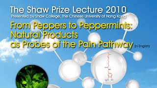 The Shaw Prize Lecture in Life Science and Medicine 2010
