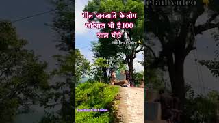 भील जनजाति के लोग आज भी है 100 साल पीछे ? #shorts #bhel #adivasi #bheel #janjati #bheelpardesh #like