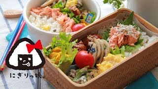 【親子弁】鮭のほぐし身とミートボール弁当～How to make today's obento【LunchBox】～247時限目 【お弁当】