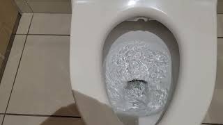 じ、ょ　し　使用　箱の中身　トイレ素材　ASMR　asmr　サニタ　♀️　タイル　wc　店舗　設備　内装　 🚽　🚺　water closet　女性用　環境音2022年4月2日