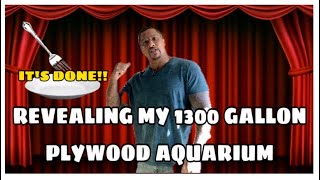 REVEALING my 1300 GALLON PLYWOOD AQUARIUM *IT’S DONE*