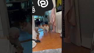 my morniong video 🫣 마지막 화해장면 안보면 후회할 걸 아악!!!!!!@@