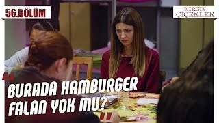 Defne hapishanede! - Kırgın Çiçekler 56.Bölüm