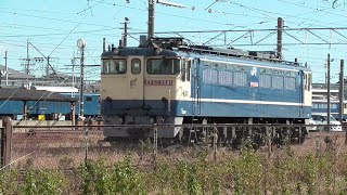 2024年12月8日  どうなる？ JR貨物 高崎機関区に疎開留置中の電気機関車 EF65 2081、EF65 2066(新鶴見機関区 所属)