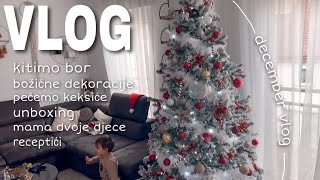 December VLOG / kitimo bor / pečemo keksiće / kuhamo / pao nam je snijeg…