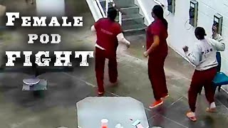 Behind The Bars 4: Female Pod Fight