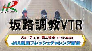 【坂路調教映像】5/17　第4競走　JRA認定フレッシュチャレンジ競走