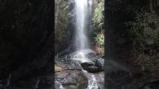 Chelikkuzhi Waterfalls Konni