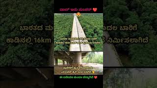 ಕಾಡು ಬೆಳೆಸಿ ಪ್ರಾಣಿಗಳಿಗೆ ಹಿಂಸೆ ನೀಡದಿರಿ #inspirationalquotes #motivation #motivationalvideo