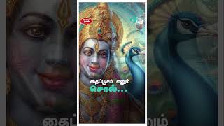 தைப்பூசம் என்ன சிறப்பு? || தைப்பூசம் உண்மை வரலாறு | Lord Murugan