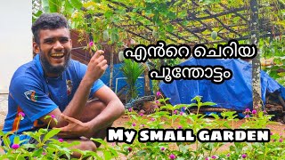 My small garden❤️❤️❤️➡️➡️എൻറെ ചെറിയ പൂന്തോട്ടം😍❤️➡️➡️Does anyone have a garden like this.....???!!!!