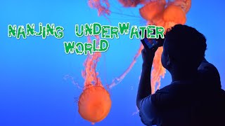 Nanjing Underwater World || Meiling Palace || Nanjing